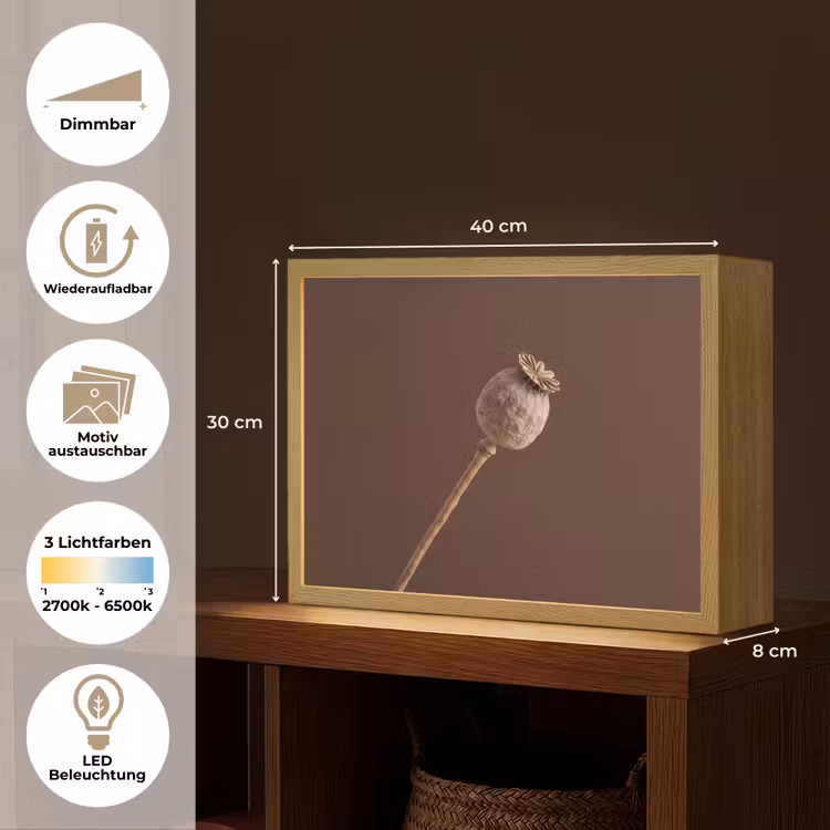 Papaverbol - Droogbloem - Bruin - Minimalistisch Light Box met batterij (Wandlamp) middel -USP_websiteoverzichtDE