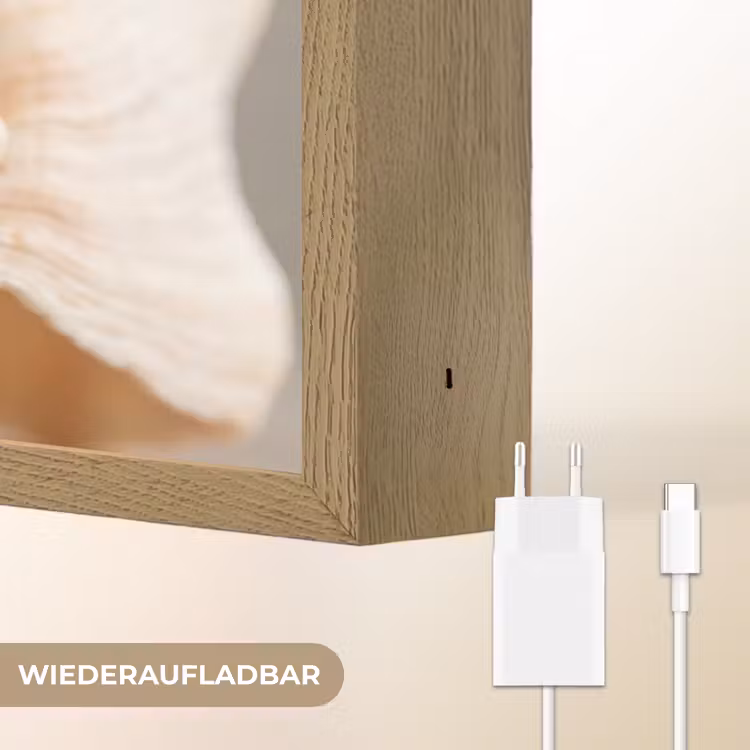 Schelp - Detail - Beige Light Box met batterij (Wandlamp) middel -USP_websiteoplaadbaarDE