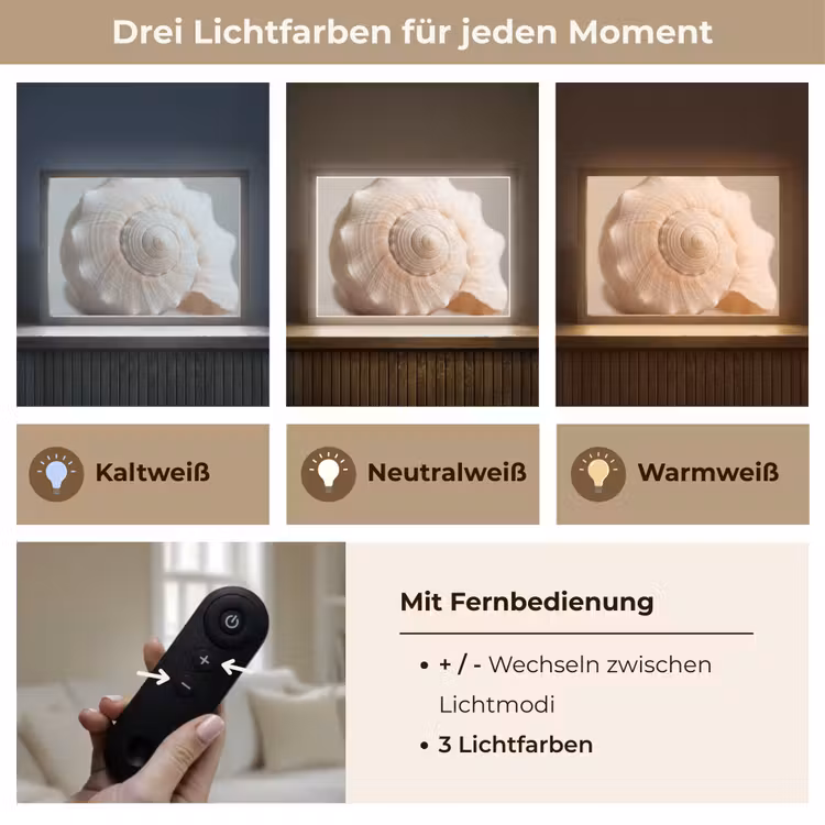 Schelp - Detail - Beige Light Box met batterij (Wandlamp) middel -USP_lichtkleurDE