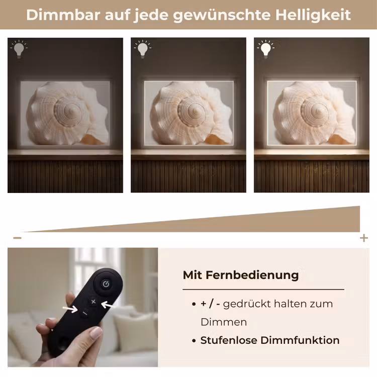 Schelp - Detail - Beige Light Box met batterij (Wandlamp) middel -USP_dimbaarDE