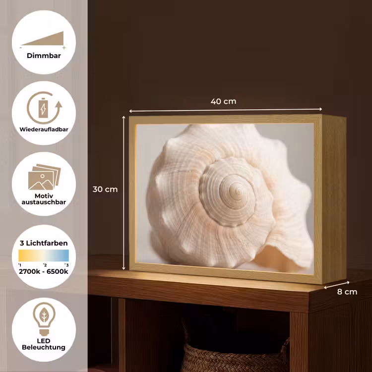 Schelp - Detail - Beige Light Box met batterij (Wandlamp) middel -USP_websiteoverzichtDE