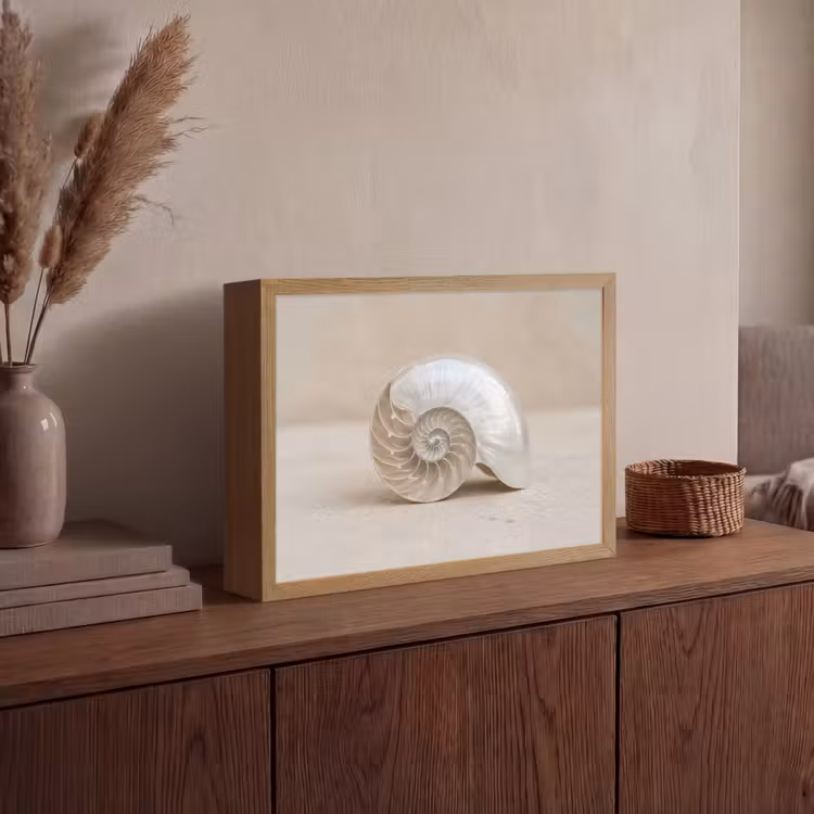 Schelp - Spiraal - Beige Light Box met batterij (Wandlamp) middel -sfeer2