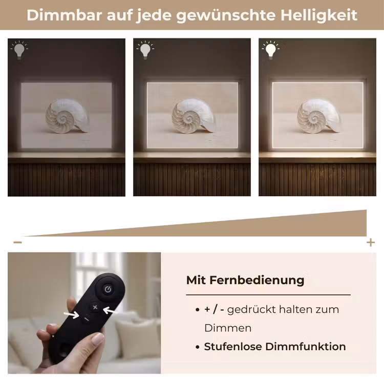 Schelp - Spiraal - Beige Light Box met batterij (Wandlamp) middel -USP_dimbaarDE