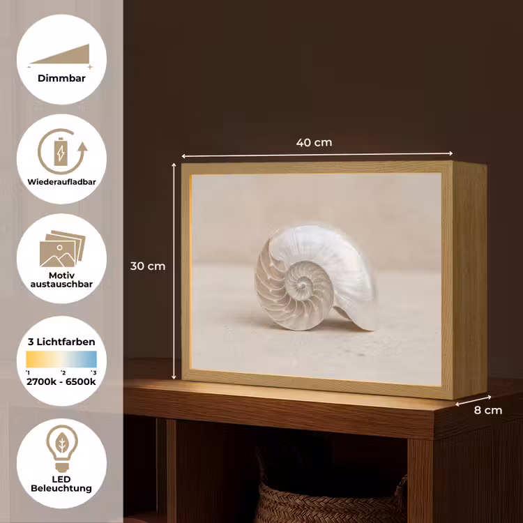 Schelp - Spiraal - Beige Light Box met batterij (Wandlamp) middel -USP_websiteoverzichtDE