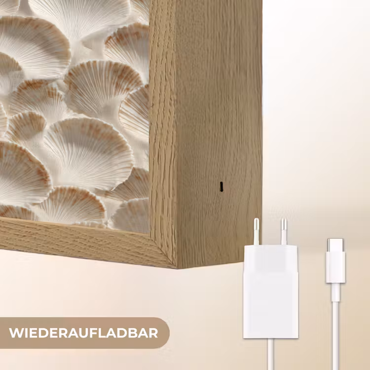 Schelpen - Waaiervorm - Wit Light Box met batterij (Wandlamp) middel 907 -USP_websiteoplaadbaarDE