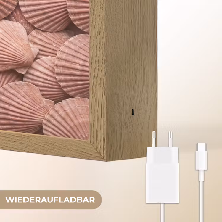Schelpen - Patroon - Roze Light Box met batterij (Wandlamp) middel -USP_websiteoplaadbaarDE