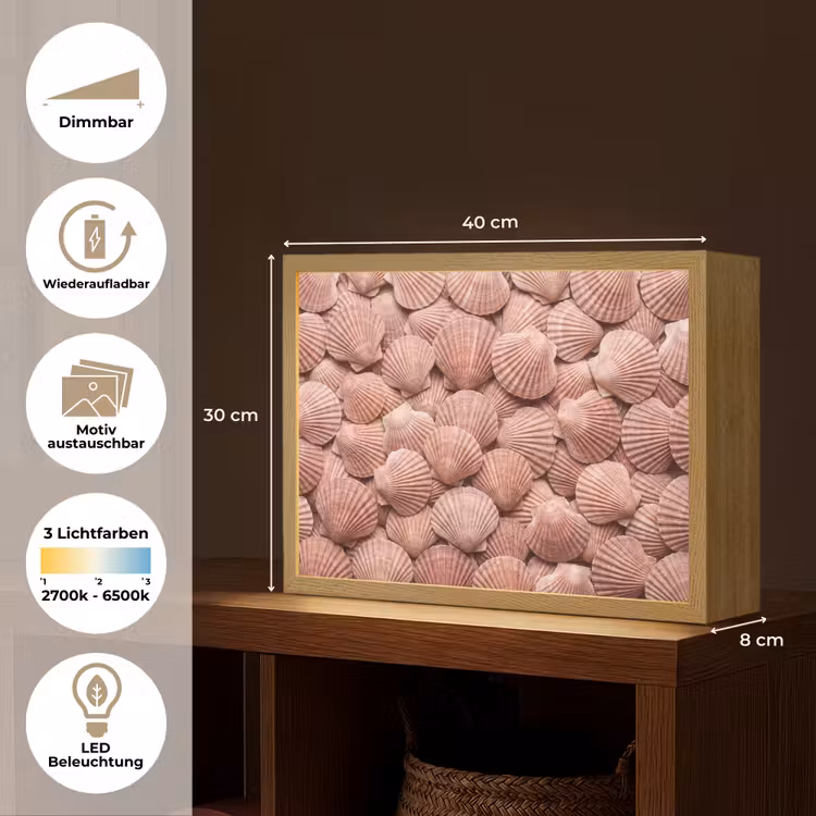 Schelpen - Patroon - Roze Light Box met batterij (Wandlamp) middel -USP_websiteoverzichtDE