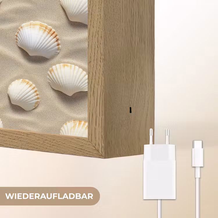 Schelpen - Zand - Maritiem Light Box met batterij (Wandlamp) middel 907 -USP_websiteoplaadbaarDE