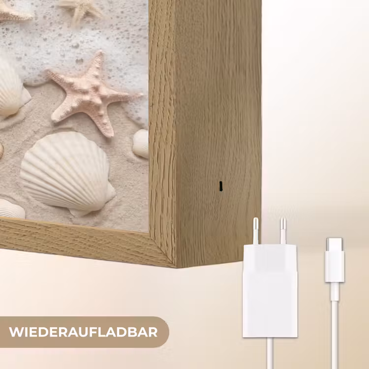 Schelpen - Zeesterren - Strand Light Box met batterij (Wandlamp) middel -USP_websiteoplaadbaarDE