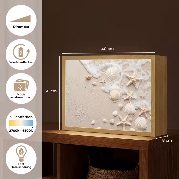 Schelpen - Zeesterren - Strand Light Box met batterij (Wandlamp) middel -USP_websiteoverzichtDE