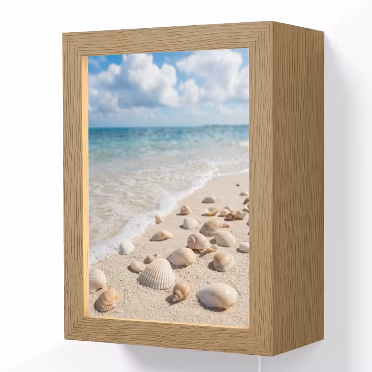 Schelpen - Strand - Natuur - Beige Light Box met kabel (Wandlamp) klein -3d