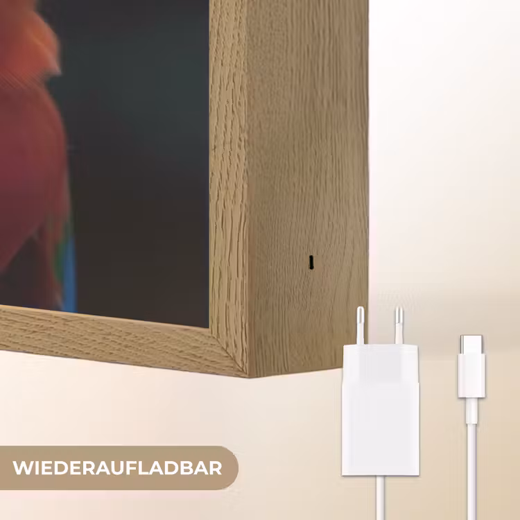 Close-up - Papegaai - Veren - Oranje Light Box met batterij (Wandlamp) middel -USP_websiteoplaadbaarDE