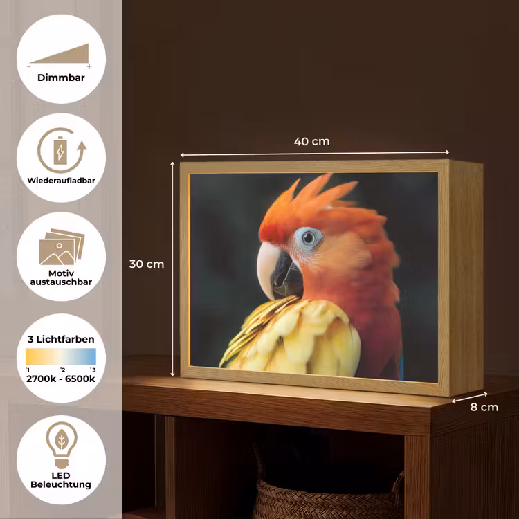 Close-up - Papegaai - Veren - Oranje Light Box met batterij (Wandlamp) middel -USP_websiteoverzichtDE