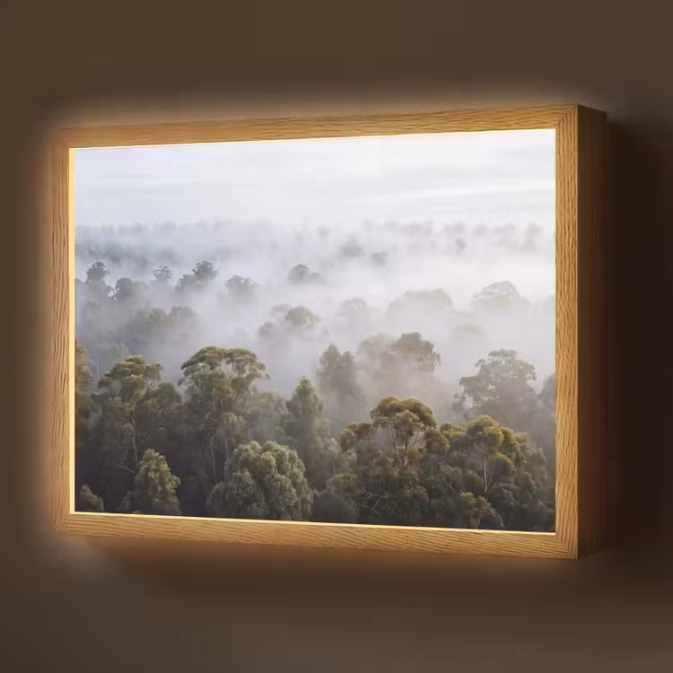 Natuur - Mist - Bos - Ochtend - Goud Light Box met batterij (Wandlamp) middel -z3d_website