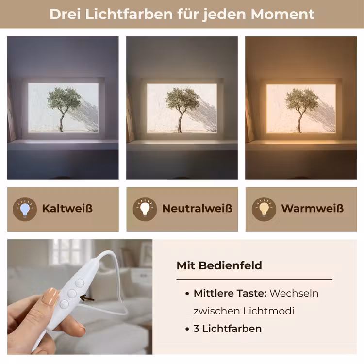 Lightbox - Wandleuchte - Olivenbaum – Wand – weiß - Olijfboom - muur - wit Light Box met kabel (Wandlamp) klein