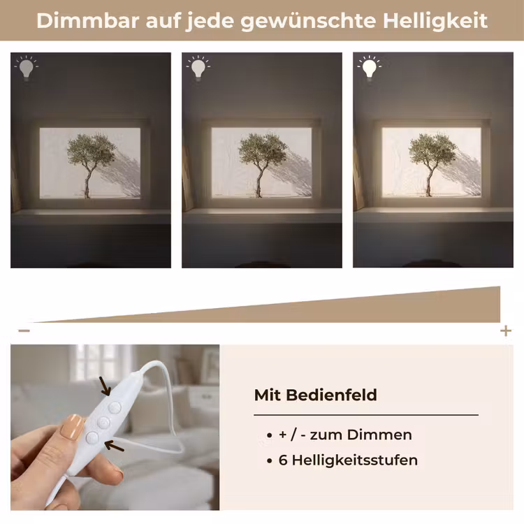 Lightbox - Wandleuchte - Olivenbaum – Wand – weiß - Olijfboom - muur - wit Light Box met kabel (Wandlamp) klein