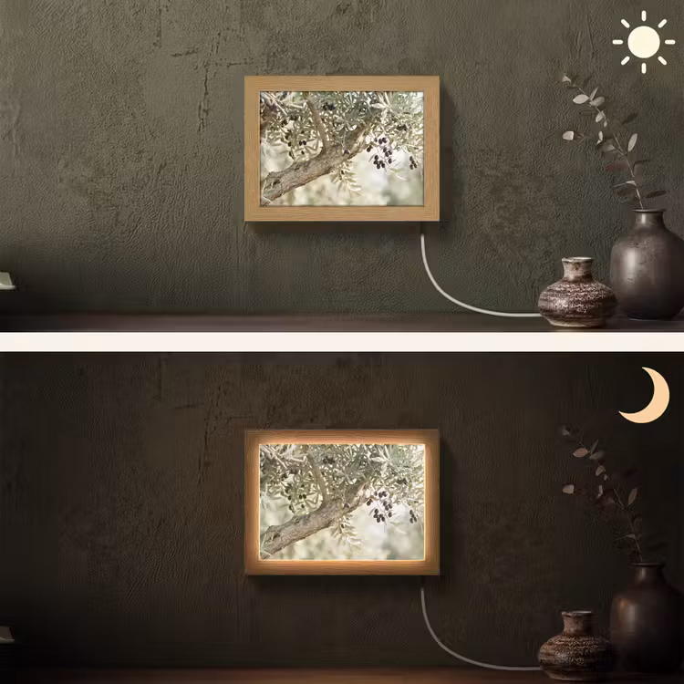 Lightbox - Wandleuchte - Olivenbaum – Zweig – grün - Olijfboom - tak - groen Light Box met kabel (Wandlamp) klein