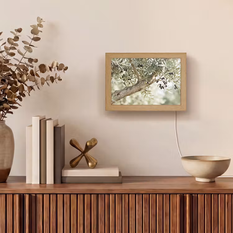 Lightbox - Wandleuchte - Olivenbaum – Zweig – grün - Olijfboom - tak - groen Light Box met kabel (Wandlamp) klein