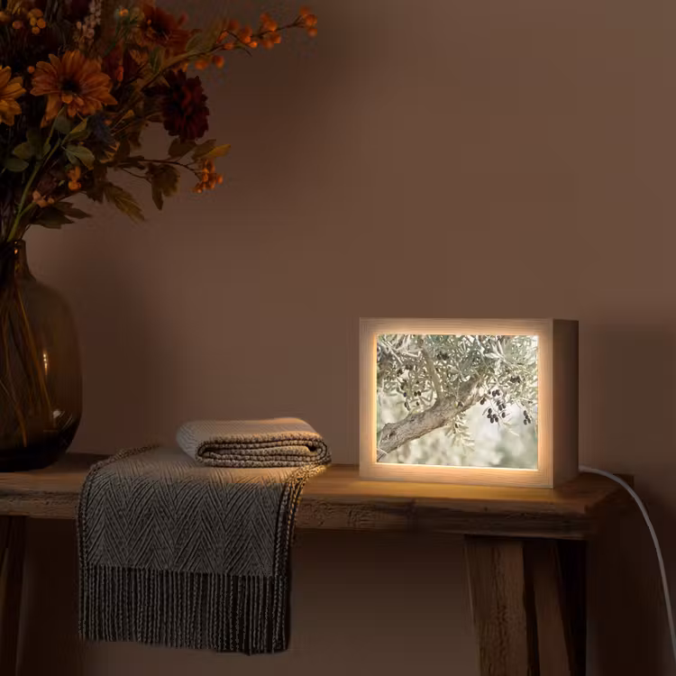 Lightbox - Wandleuchte - Olivenbaum – Zweig – grün - Olijfboom - tak - groen Light Box met kabel (Wandlamp) klein