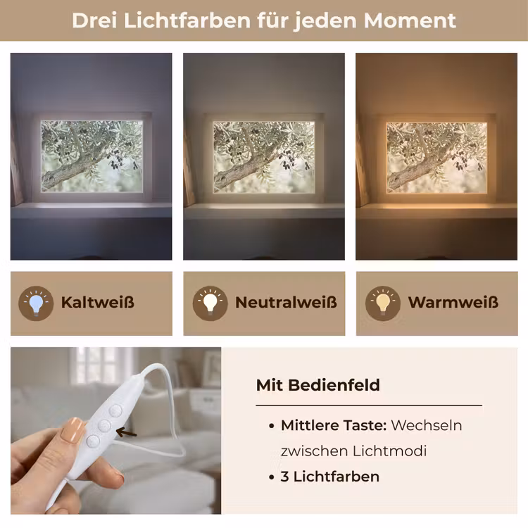 Lightbox - Wandleuchte - Olivenbaum – Zweig – grün - Olijfboom - tak - groen Light Box met kabel (Wandlamp) klein