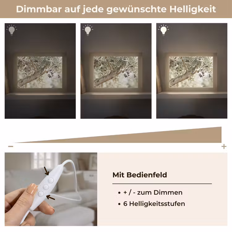 Lightbox - Wandleuchte - Olivenbaum – Zweig – grün - Olijfboom - tak - groen Light Box met kabel (Wandlamp) klein