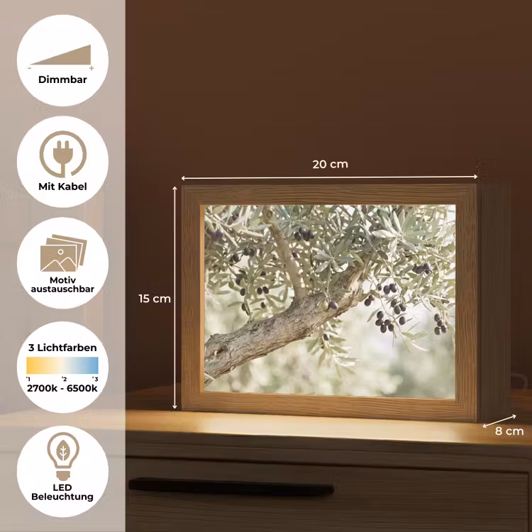 Lightbox - Wandleuchte - Olivenbaum – Zweig – grün - Olijfboom - tak - groen Light Box met kabel (Wandlamp) klein
