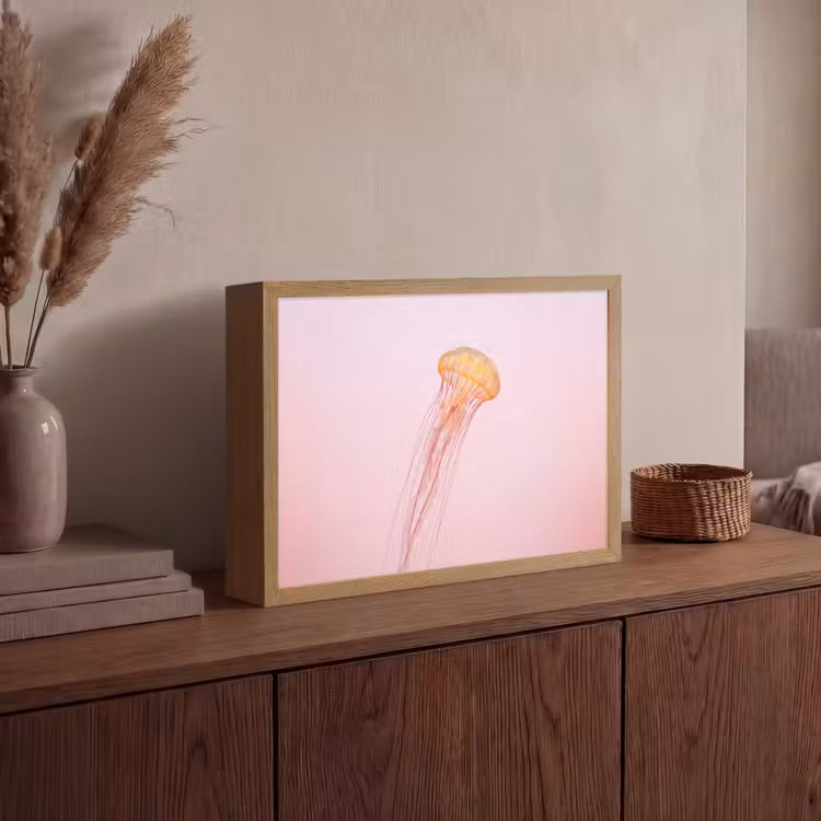 Sierlijk - Kwal - Roze Light Box met batterij (Wandlamp) middel -sfeer2