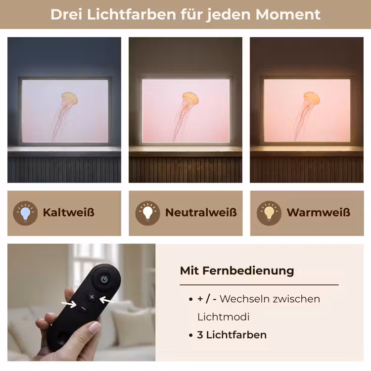 Sierlijk - Kwal - Roze Light Box met batterij (Wandlamp) middel -USP_lichtkleurDE