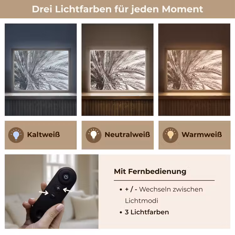 Palmboom - Tropisch - Zwart - Wit Light Box met batterij (Wandlamp) middel -USP_lichtkleurDE