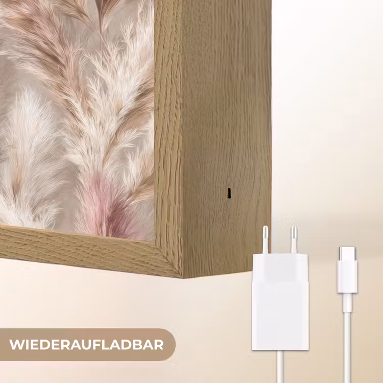 Pampasgras - Pluizig - Kleurrijk Light Box met batterij (Wandlamp) middel 907 -USP_websiteoplaadbaarDE