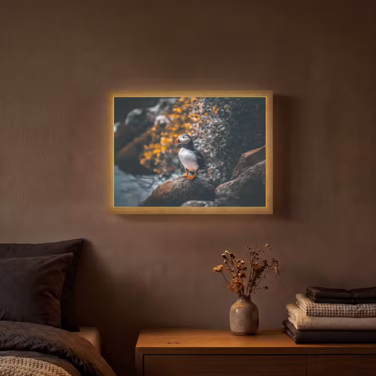 Papegaai - Vogel - Rots - Wit Light Box met batterij (Wandlamp) middel -sfeer4