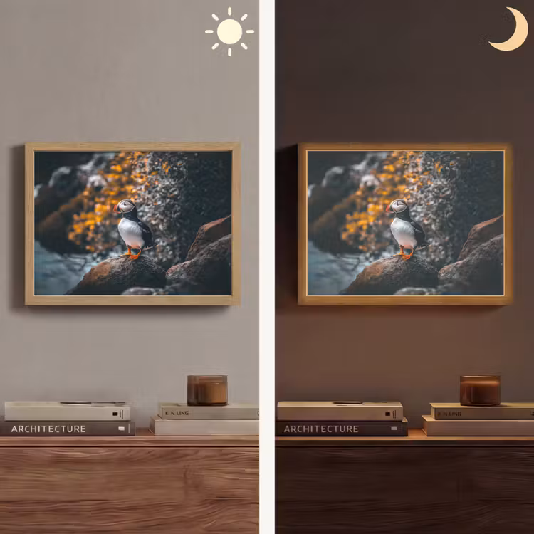 Papegaai - Vogel - Rots - Wit Light Box met batterij (Wandlamp) middel -sfeer3
