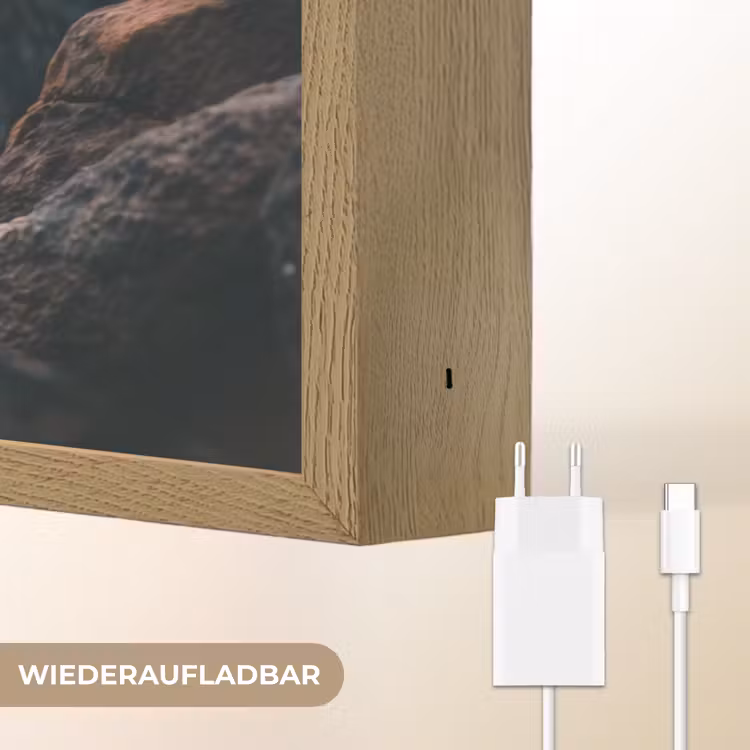 Papegaai - Vogel - Rots - Wit Light Box met batterij (Wandlamp) middel -USP_websiteoplaadbaarDE