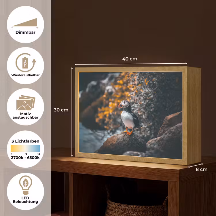 Papegaai - Vogel - Rots - Wit Light Box met batterij (Wandlamp) middel -USP_websiteoverzichtDE