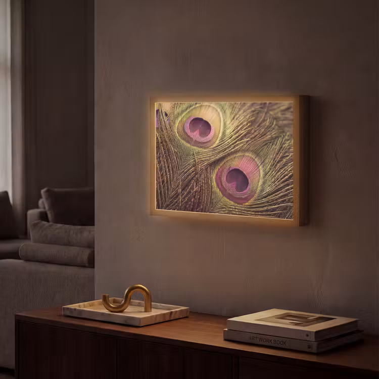 Pauw - Veren - Paars - Groen Light Box met batterij (Wandlamp) middel -sfeer1