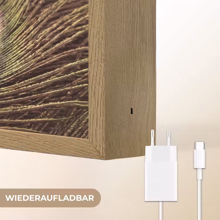 Pauw - Veren - Paars - Groen Light Box met batterij (Wandlamp) middel -USP_websiteoplaadbaarDE