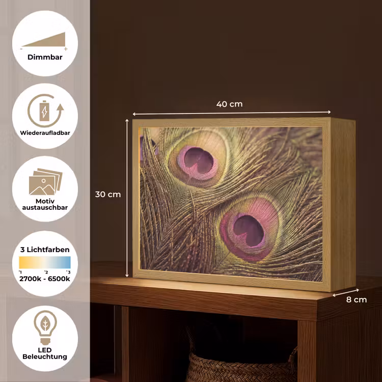 Pauw - Veren - Paars - Groen Light Box met batterij (Wandlamp) middel -USP_websiteoverzichtDE
