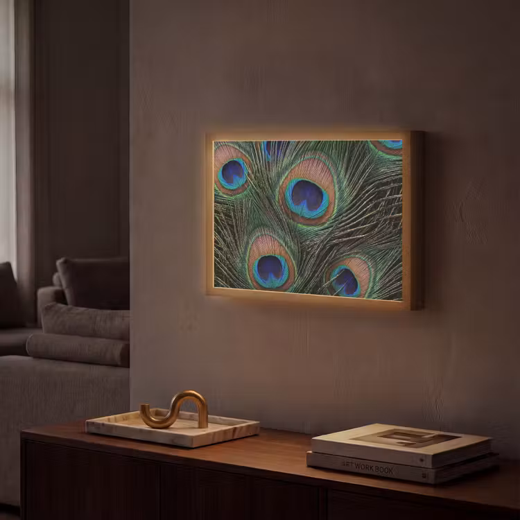 Pauwenveren - Klassiek - Groen Light Box met batterij (Wandlamp) middel -sfeer1