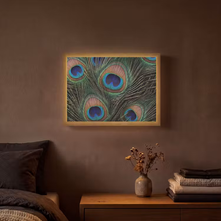 Pauwenveren - Klassiek - Groen Light Box met batterij (Wandlamp) middel -sfeer4