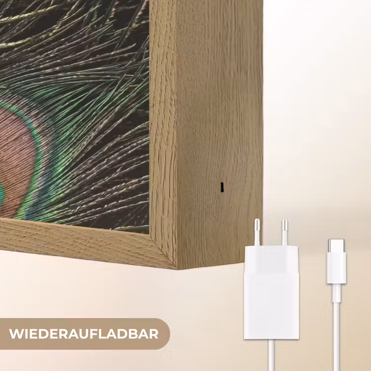 Pauwenveren - Klassiek - Groen Light Box met batterij (Wandlamp) middel -USP_websiteoplaadbaarDE