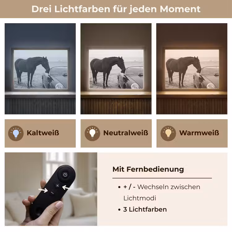 Paard - Auto - Zwart - Wit Light Box met batterij (Wandlamp) middel -USP_lichtkleurDE