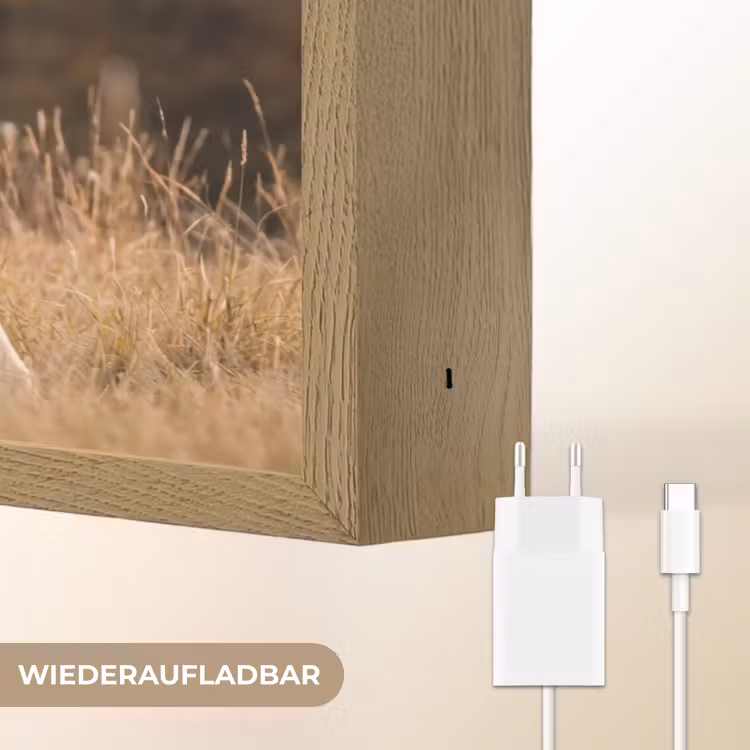 Paard - Bruin - Gras Light Box met batterij (Wandlamp) middel -USP_websiteoplaadbaarDE