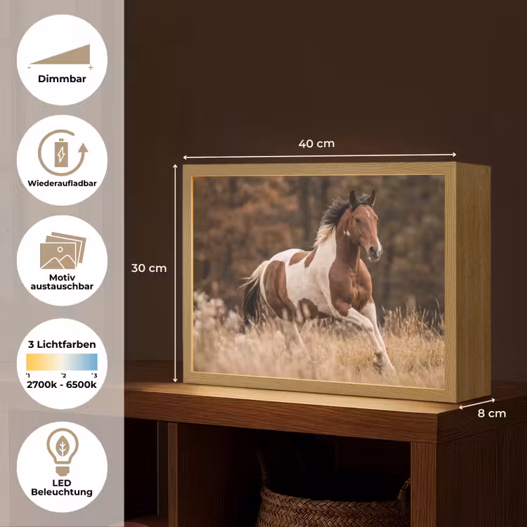 Paard - Bruin - Gras Light Box met batterij (Wandlamp) middel -USP_websiteoverzichtDE