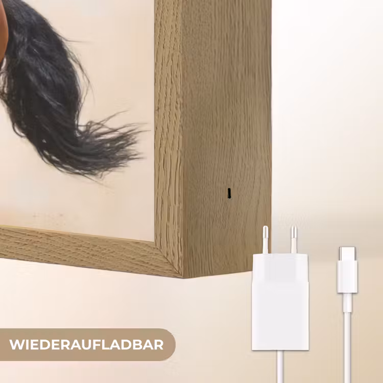 Paard - Galop - Energie Light Box met batterij (Wandlamp) middel -USP_websiteoplaadbaarDE