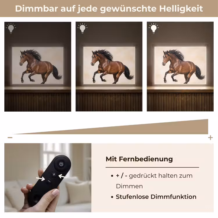 Paard - Galop - Energie Light Box met batterij (Wandlamp) middel -USP_dimbaarDE