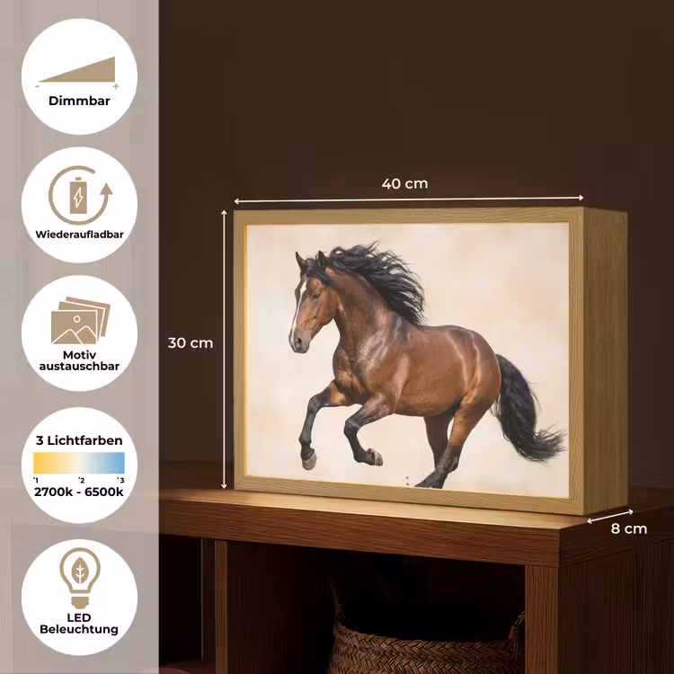 Paard - Galop - Energie Light Box met batterij (Wandlamp) middel -USP_websiteoverzichtDE