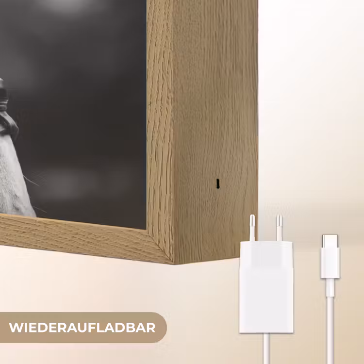 Paard - Schimmel - Portret Light Box met batterij (Wandlamp) middel -USP_websiteoplaadbaarDE