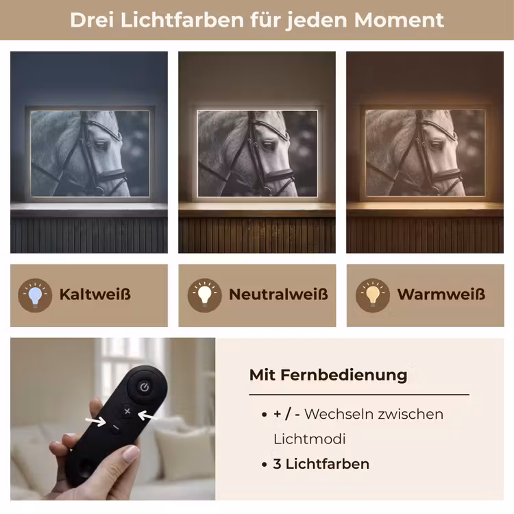 Paard - Schimmel - Portret Light Box met batterij (Wandlamp) middel -USP_lichtkleurDE