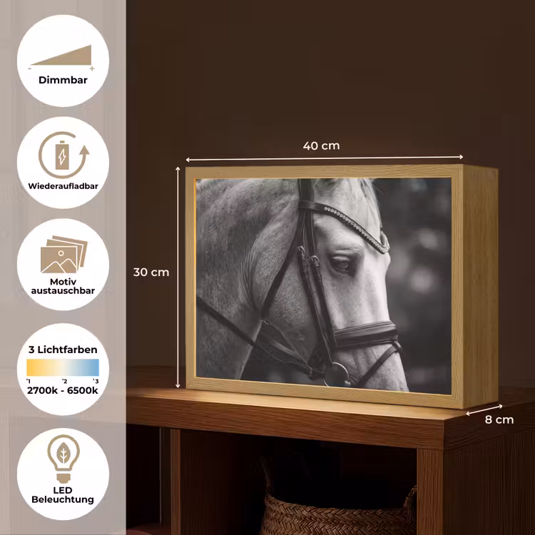 Paard - Schimmel - Portret Light Box met batterij (Wandlamp) middel -USP_websiteoverzichtDE