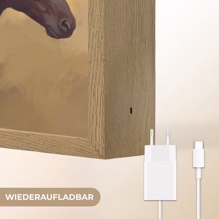 Paard - Klassiek - Oker Light Box met batterij (Wandlamp) middel -USP_websiteoplaadbaarDE